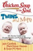 Chicken Soup for the Soul: Twins and More