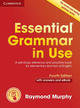 Essential Grammar in Use. Deutsche Ausgabe