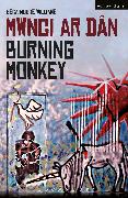 Burning Monkey