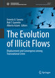 The Evolution of Illicit Flows