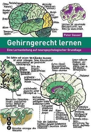 Gasser. Gehirngerecht lernen