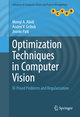 Optimization Techniques in Computer Vision