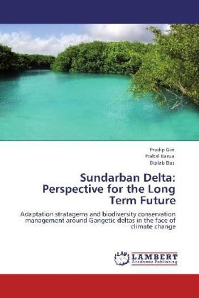 Sundarban Delta: Perspective for the Long Term Future