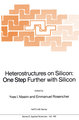 Heterostructures on Silicon: One Step Further with Silicon